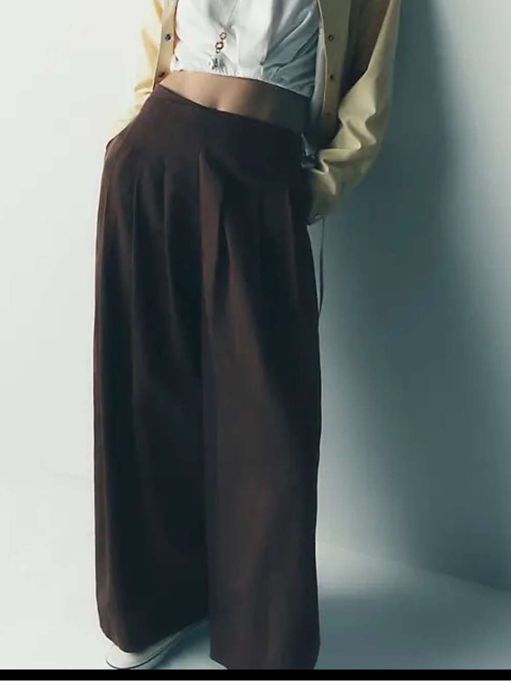 Maeve Pleated Trousers in Brown